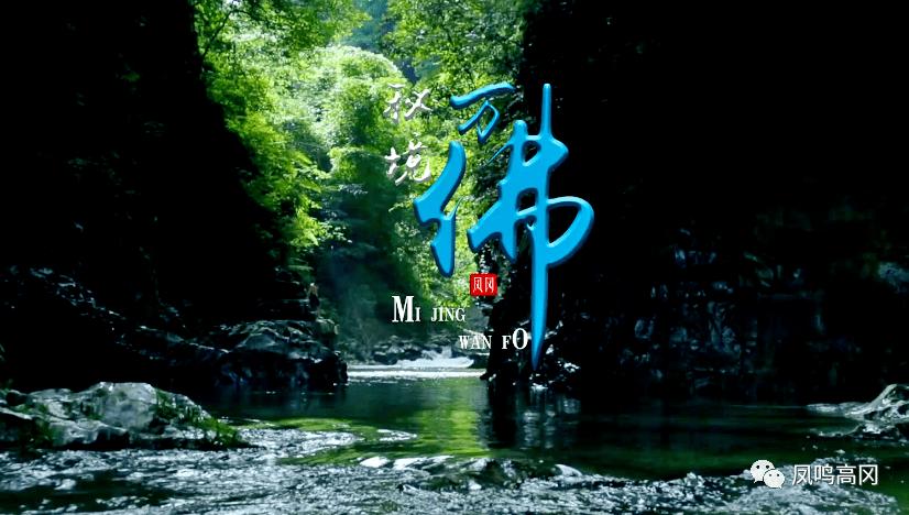 探索知识星球平台,尽在第一辆车应该买怎么样的好?
